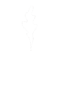 manifiesto_logo_V2